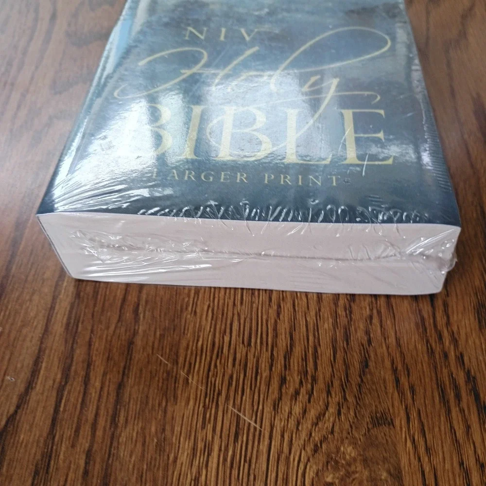 NIV, Holy Bible, Larger Print, Economy Edition, Paperback Blue Brand New Sealed